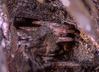 Spanien/Andalusien (Andalucía)/Almería, Provinz/Levante Almeriense, Comarca/Cuevas de Almanzora, Municipio/Las Herrerías/Túnel del Arteal (El Arteal, Socavón Santa Bárbara)