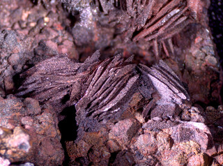 Spanien/Andalusien (Andalucía)/Almería, Provinz/Levante Almeriense, Comarca/Cuevas de Almanzora, Municipio/Las Herrerías/Túnel del Arteal (El Arteal, Socavón Santa Bárbara)