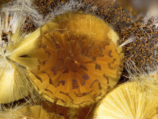 Deutschland/Bayern/Oberpfalz, Bezirk/Amberg-Sulzbach, Landkreis/Auerbach in der Oberpfalz, Stadtgemeinde/Grube Leonie