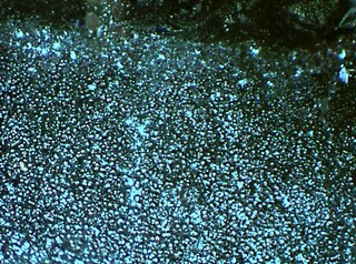 Deutschland/Baden-Württemberg/Freiburg, Bezirk/Rottweil, Landkreis/Schenkenzell, Gemeinde/Kaltbrunn, Ortsteil/Wittichen/Schmiedestollenhalde