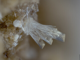 Deutschland/Rheinland-Pfalz/Mayen-Koblenz-Kreis/Maifeld, Verbandsgemeinde/Ochtendung/Wannenköpfe