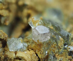 Schweiz/Wallis, Kanton/Goms, Bezirk/Binntal/Grengiols/Saflischtal/Blausee/Rhipidolith-Kluft