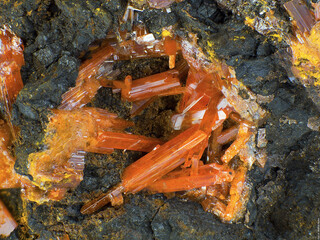 Australien/Tasmanien/West Coast Municipality/Zeehan District/Dundas/Platt Prospect