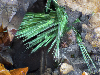 Deutschland/Nordrhein-Westfalen/Arnsberg, Bezirk/Soest, Landkreis/Warstein/Brühne