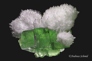 Indien/Maharashtra/Ahmadnagar (Ahmednagar), Distrikt/Rahuri