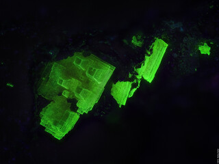 Deutschland/Baden-Württemberg/Freiburg, Bezirk/Waldshut, Landkreis/St. Blasien, Stadtgemeinde/Menzenschwand, Ortsteil/Krunkelbach