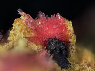 Deutschland/Hessen/Kassel, Bezirk/Hersfeld-Rotenburg, Landkreis/Richelsdorfer Gebirge