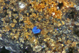 Deutschland/Rheinland-Pfalz/Mayen-Koblenz-Kreis/Pellenz, Verbandsgemeinde/Nickenich/Nickenicher Weinberg (Sattelberg)