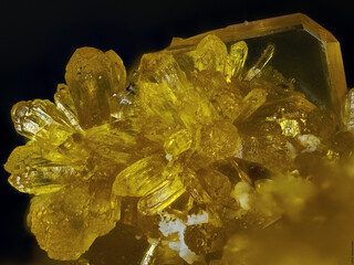 Mexiko/Sonora, Estado/Cucurpe, Municipio/Cucurpe/Cerro Prieto/San Francisco Mine