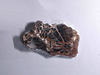 Tschechien/Liberecký kraj (Reichenberg)/Semily, Okres (Semil)/Leskau (Radostná pod Kozákovem)/Votrubec (Kosakow), Steinbruch