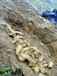 Schweiz/Wallis, Kanton/Goms, Bezirk/Binntal/Binn/Ofenhorn-Turbhorn-Gebiet/Turbenalp/Turbewäng