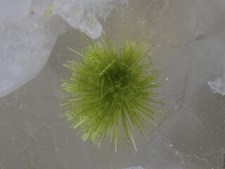 Deutschland/Baden-Württemberg/Freiburg, Bezirk/Ortenaukreis/Oberwolfach/Grube Clara