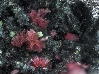 Deutschland/Baden-Württemberg/Freiburg, Bezirk/Rottweil, Landkreis/Schenkenzell, Gemeinde/Kaltbrunn, Ortsteil/Wittichen/Schmiedestollenhalde