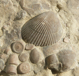 Deutschland/Baden-Württemberg/Stuttgart, Bezirk/Schwäbisch Hall, Landkreis