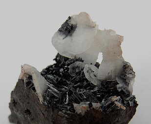 Deutschland/Thüringen/Nordhausen, Landkreis/Harztor/Ilfeld/Braunsteinhaus