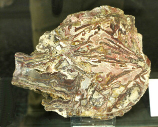 Deutschland/Baden-Württemberg/Freiburg, Bezirk/Breisgau-Hochschwarzwald, Landkreis/Sulzburg, Stadt/Bad Sulzburg