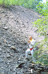 Deutschland/Sachsen/Erzgebirgskreis/Breitenbrunn, Gemeinde/Antonsthal, Ortsteil/Tannebaum (September)