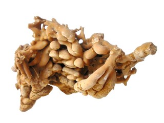 Deutschland/Nordrhein-Westfalen/Arnsberg, Bezirk/Bochum