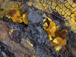 Deutschland/Hessen/Gießen, Bezirk/Lahn-Dill-Kreis/Lahnau/Waldgirmes/Grube Rotläufchen