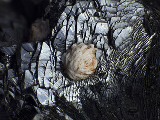 Deutschland/Niedersachsen/Peine, Landkreis/Bülten-Adenstedt/Grube Emilie (Grube Bülten-Adenstedt)