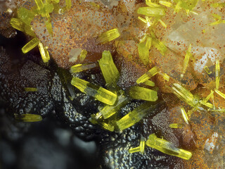 Deutschland/Baden-Württemberg/Freiburg, Bezirk/Lörrach, Landkreis/Aitern/Pfingstsegen