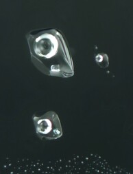 Madagaskar/Atsimo-Atsinanana, Region/Vangaindrano, Distrikt/Isahara Pegmatitfeld