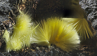 Deutschland/Baden-Württemberg/Freiburg, Bezirk/Ortenaukreis/Oberwolfach/Grube Clara