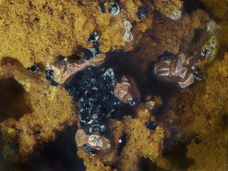 Deutschland/Baden-Württemberg/Freiburg, Bezirk/Ortenaukreis/Oberwolfach/Grube Clara