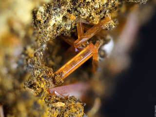 Australien/Tasmanien/West Coast Municipality/Zeehan District/Dundas