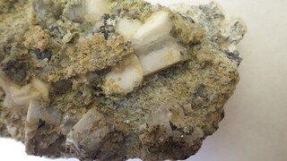 Deutschland/Niedersachsen/Goslar, Landkreis/Braunlage/St. Andreasberg, Revier