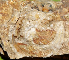 Deutschland/Sachsen/Dresden/Ratssteinbruch