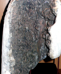 Österreich/Niederösterreich/Mödling, Bezirk/Hennersdorf/Tongrube Fa. Wienerberger