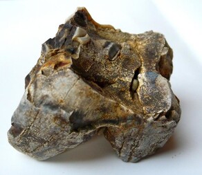 Österreich/Niederösterreich/Hollabrunn, Bezirk