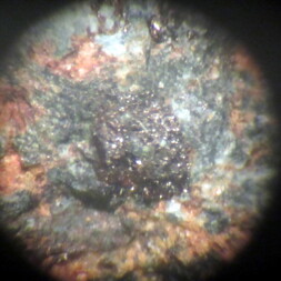 Kanada/Yukon-Territorium/Watson Lake Mining District/Itsi Mt./Wilson Lake/Gun Claim