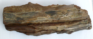 Österreich/Niederösterreich/Hollabrunn, Bezirk/Maissau, Stadtgemeinde