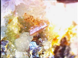 Deutschland/Nordrhein-Westfalen/Düsseldorf, Bezirk/Mettmann, Kreis/Wülfrath, Stadtgemeinde/Rohdenhaus/Steinbruch Rohdenhaus