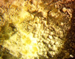 Österreich/Steiermark/Murtal, Bezirk/Sankt Lorenzen bei Knittelfeld/Gulsen Steinbruch