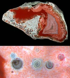 Deutschland/Saarland/St. Wendel, Landkreis/Freisen/Freisener Höhe/Windradbau 2001
