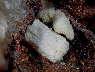 Deutschland/Sachsen-Anhalt/Harz, Landkreis/Harzgerode, Gemeinde/Straßberg/Rinderschächte