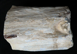 Türkei/Zentralanatolien/Ankara, Provinz/Kızılcahamam, Landkreis