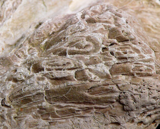 Österreich/Oberösterreich/Vöcklabruck, Bezirk