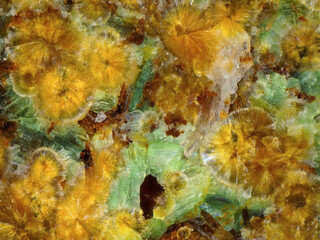 Deutschland/Sachsen/Vogtlandkreis/Tirpersdorf, Gemeinde/Uranvorkommen Tirpersdorf/Schurf 5