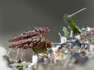 Deutschland/Rheinland-Pfalz/Vulkaneifel, Landkreis/Daun/Üdersdorf/Löhley