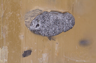 Deutschland/Sachsen/Vogtlandkreis/Muldenhammer/Tannenbergsthal/Schneckensteingebiet