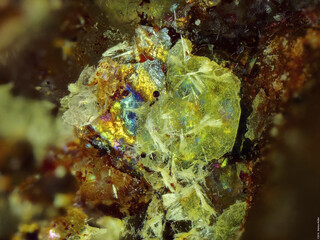 Deutschland/Sachsen/Vogtlandkreis/Bergen/Streuberg (Schacht 254)