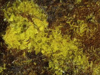 Deutschland/Sachsen/Vogtlandkreis/Klingenthal/SDAG Wismut Uranrevier Schneckenstein SO/Schurf 20 und 21