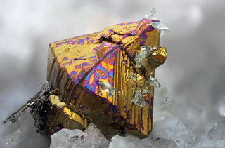 Deutschland/Nordrhein-Westfalen/Köln, Bezirk/Oberbergischer Kreis/Nümbrecht/Wirtenbach/Stbr. Schretzmair (Büschhof)