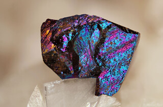 Deutschland/Nordrhein-Westfalen/Köln, Bezirk/Oberbergischer Kreis/Nümbrecht/Wirtenbach/Stbr. Schretzmair (Büschhof)