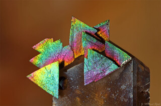 Deutschland/Nordrhein-Westfalen/Köln, Bezirk/Oberbergischer Kreis/Nümbrecht/Wirtenbach/Stbr. Schretzmair (Büschhof)