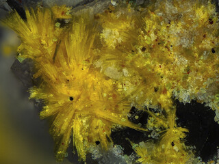 Deutschland/Sachsen/Vogtlandkreis/Neuensalz/Zobes/Uranlagerstätte Zobes